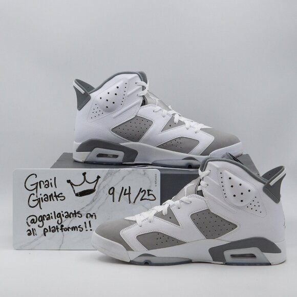 🔹 Air Jordan 6 Retro “Cool Grey” — 13M (VNDS · CT8529-100) - Picture 1 of 4